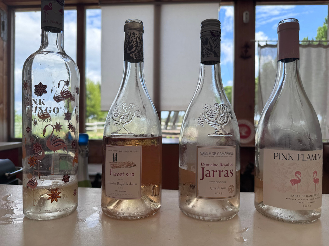 Domaine Royal de Jarras-艾格莫尔特必去景点