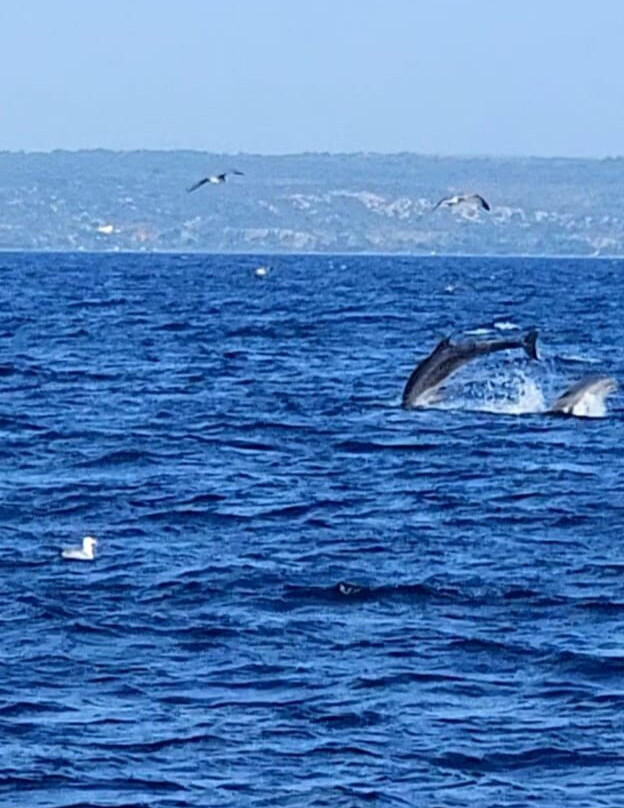 Leucate Evasion Marine-Leucate必去景点