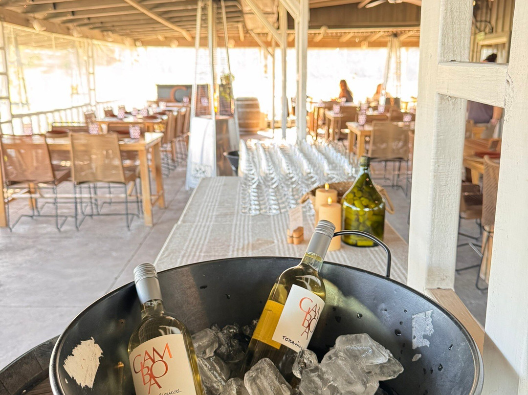Gamboa - Viñas & Bodega-Campana必去景点