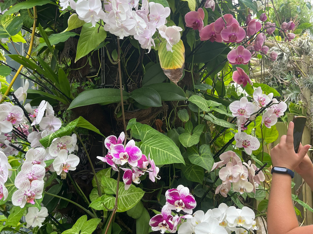 昂热植物园-昂热必去景点