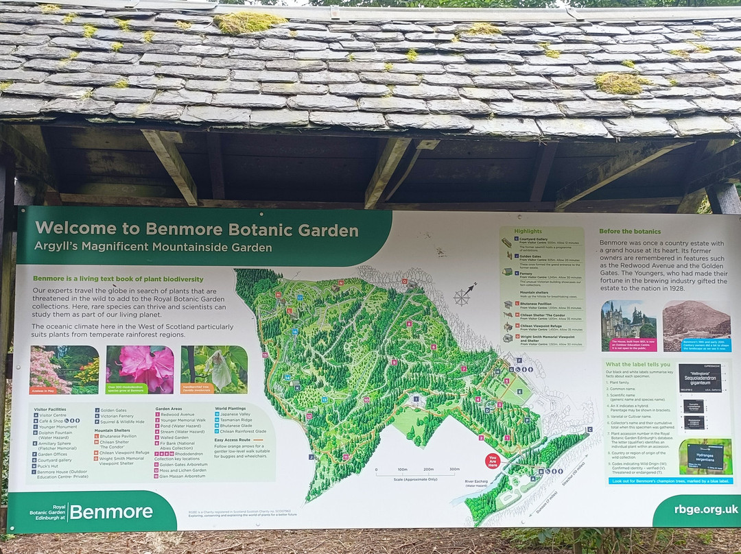 Benmore Botanic Garden-Benmore必去景点