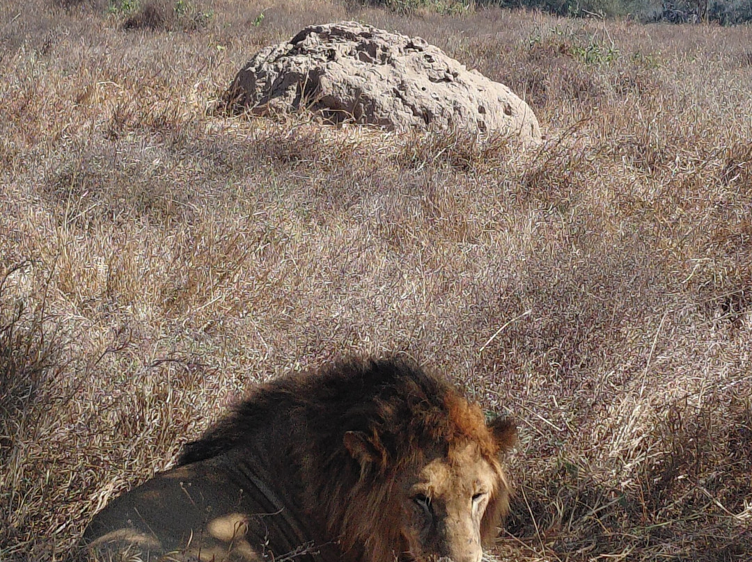 Taita Hills Wildlife Sanctuary-西察沃国家公园必去景点