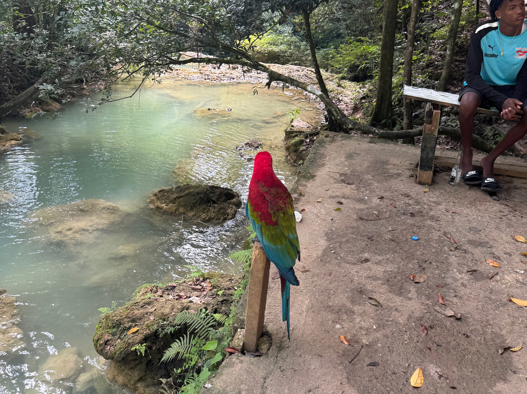 Gregory Tours Samana-Santa Barbara de Samana必去景点