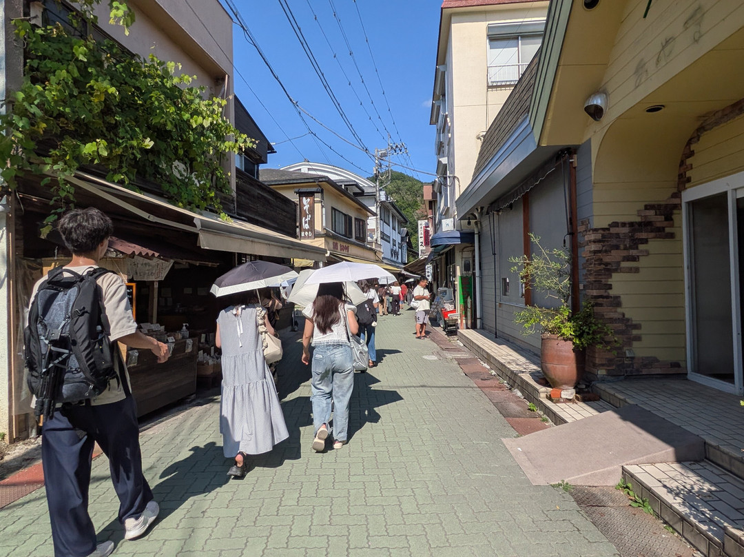 Nagatoro Iwadatamidori Shotengai-长瀞町必去景点