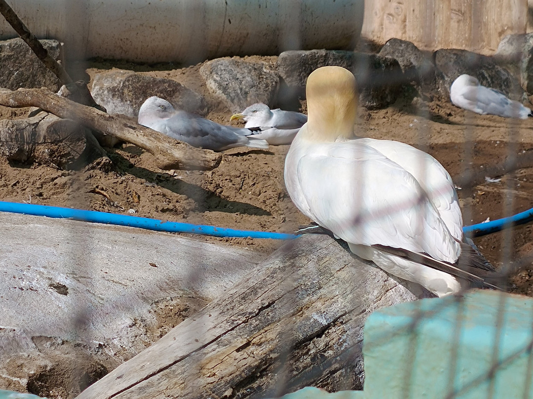 Mablethorpe Seal Sanctuary and Wildlife Centre-Mablethorpe必去景点