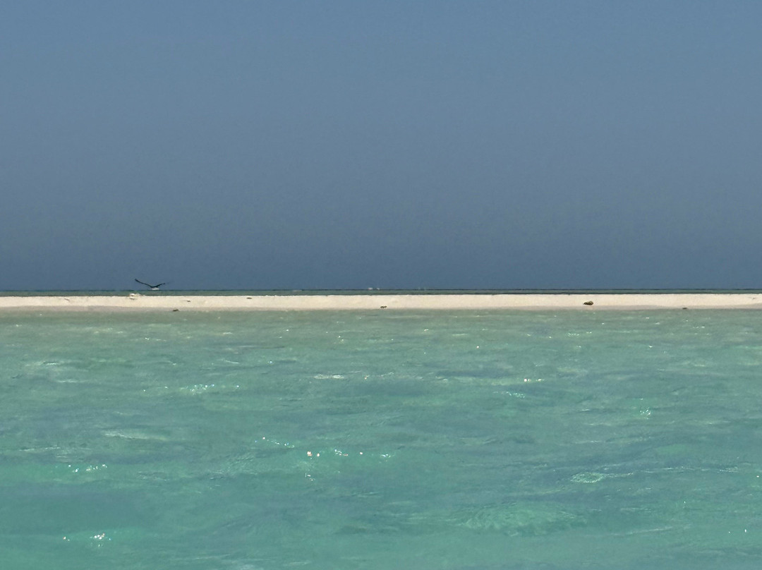 Negm Tours-Hurghada 2必去景点