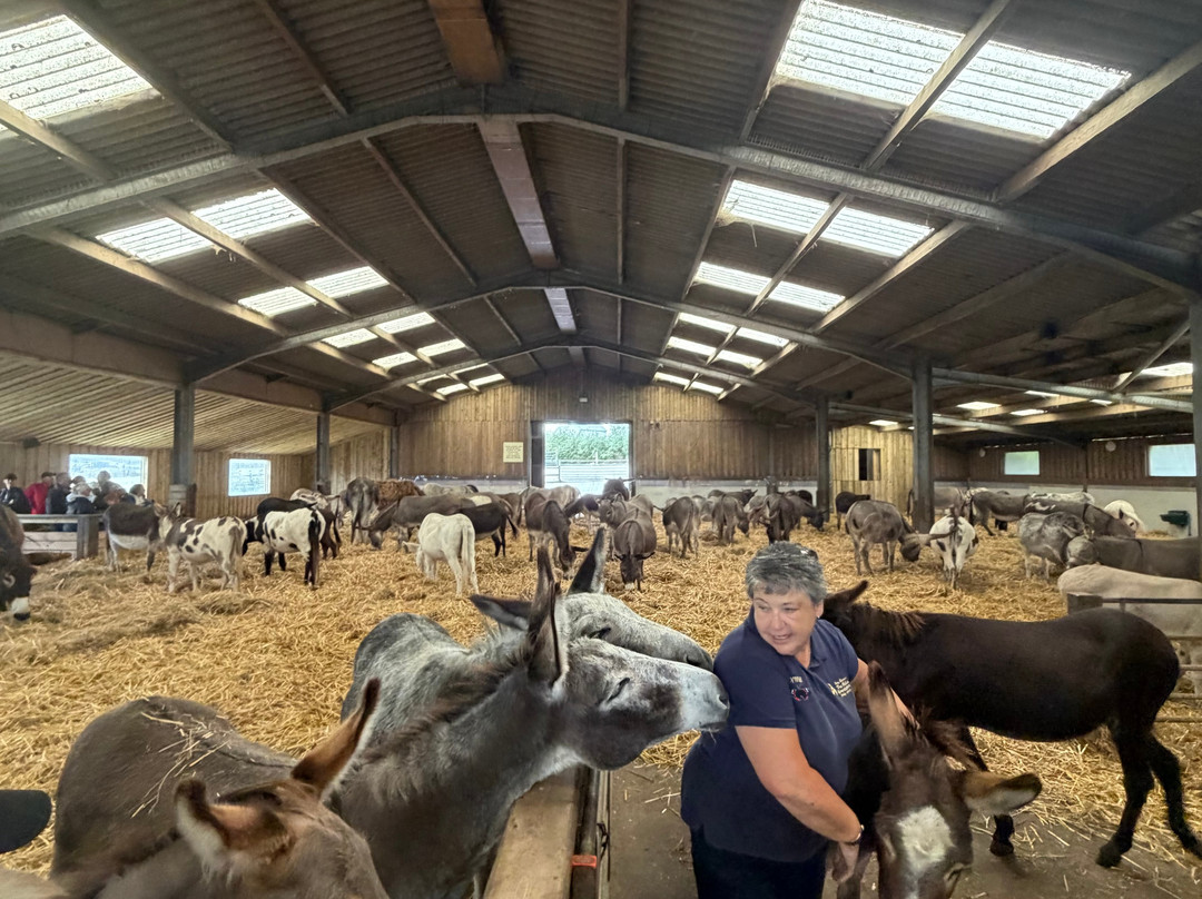The Flicka Foundation - Donkey Sanctuary-Penryn必去景点