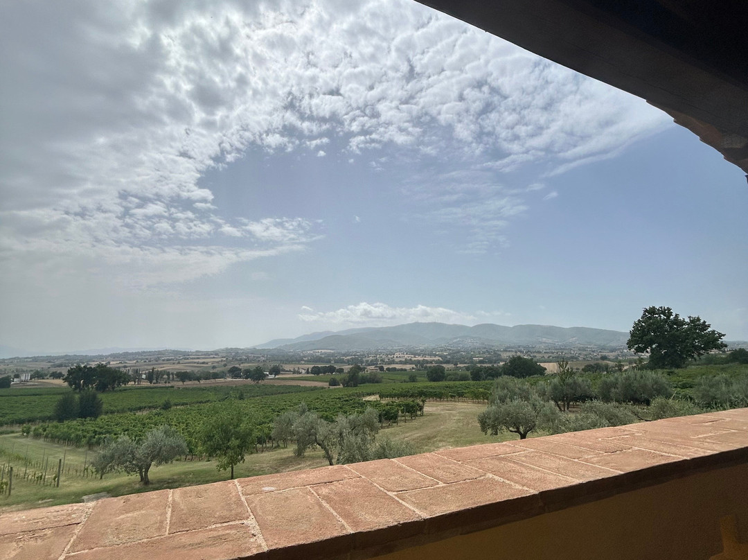 Azienda Agraria Perticaia-Montefalco必去景点