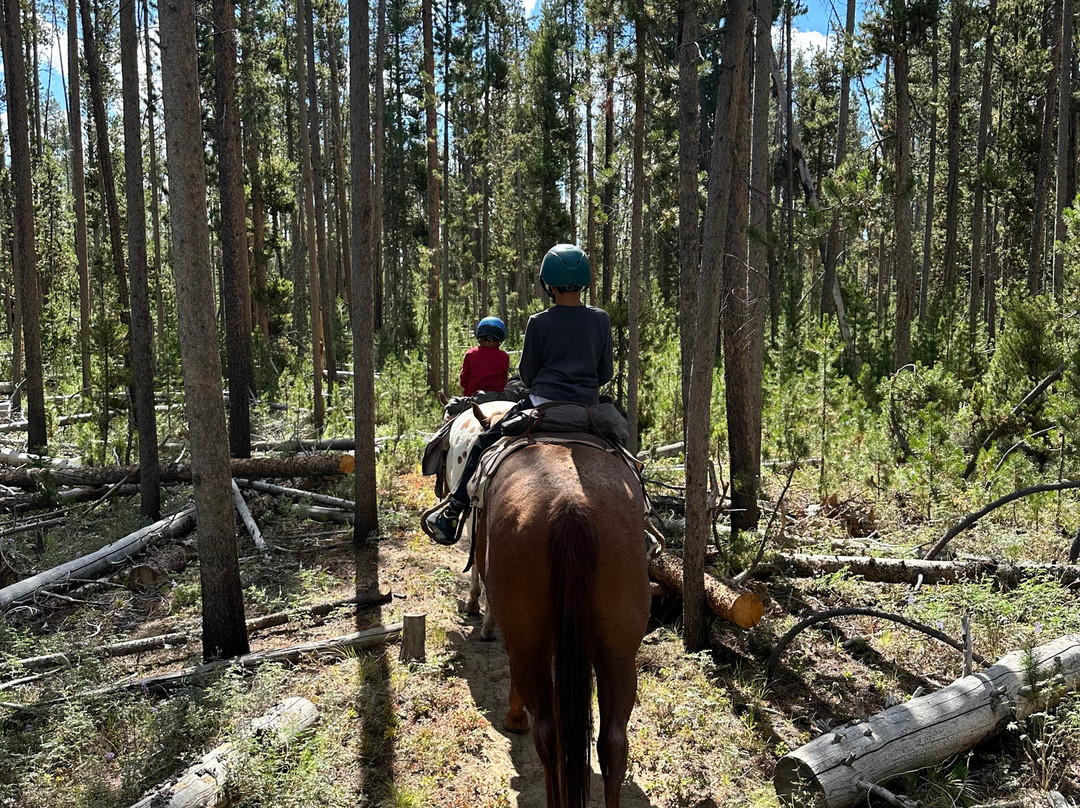 Redfish Lake Corrals- Mystic Saddle Ranch-Stanley必去景点