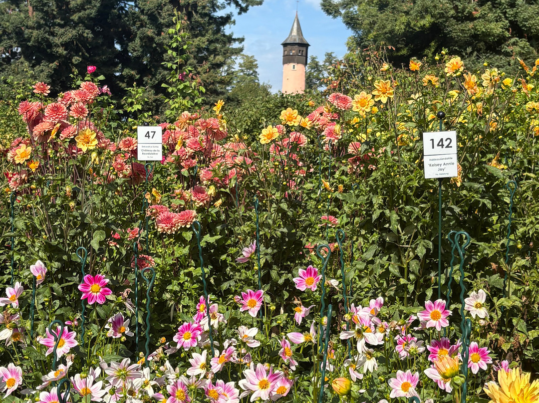 Isle of Mainau-康士坦茨必去景点
