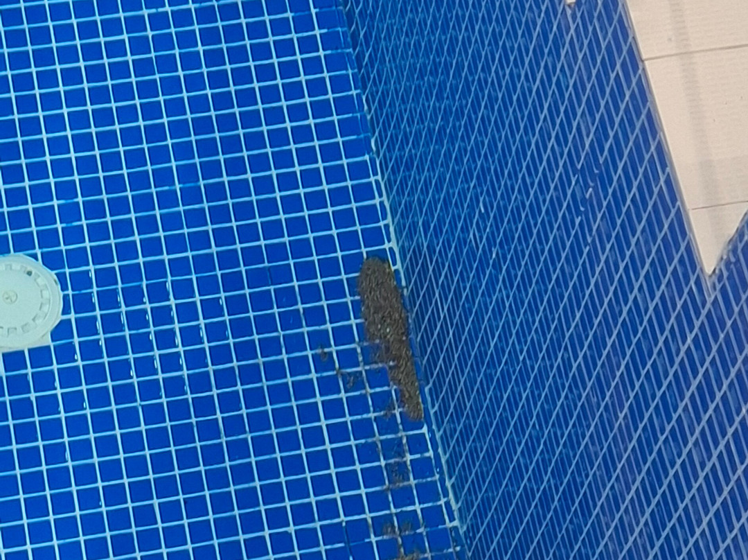 Vile Oliva Hotel & Resort主图