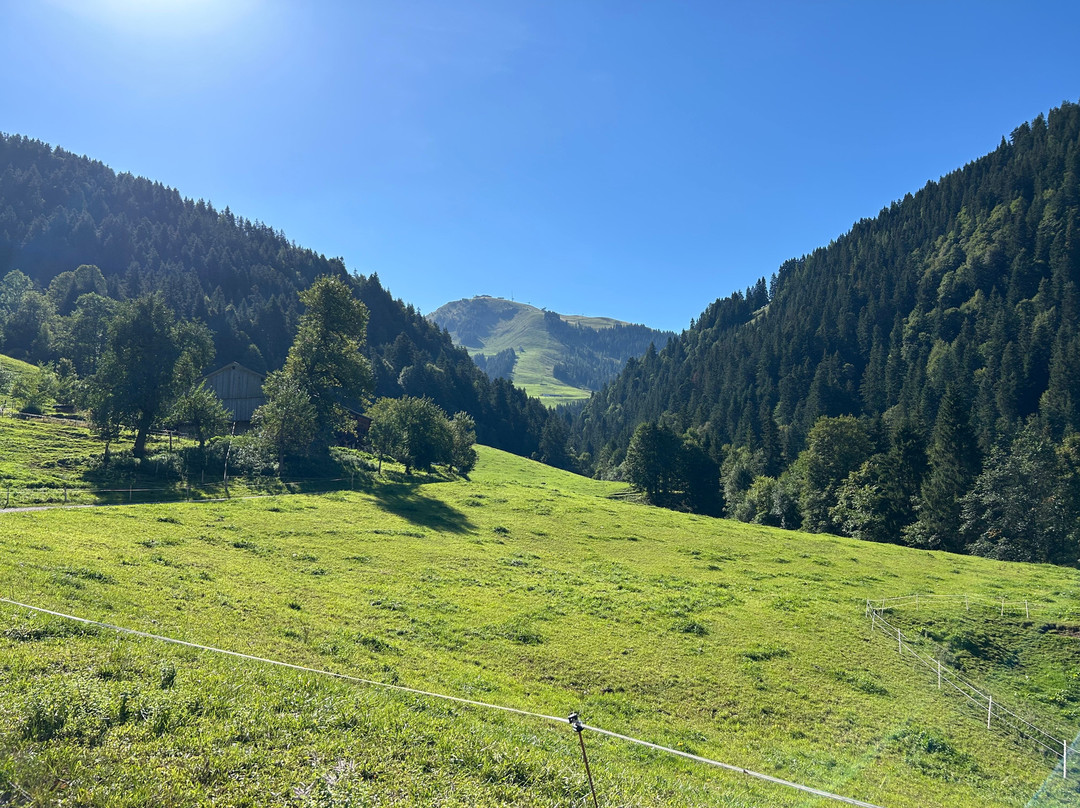 Hotel Tyrol am Wilden Kaiser主图
