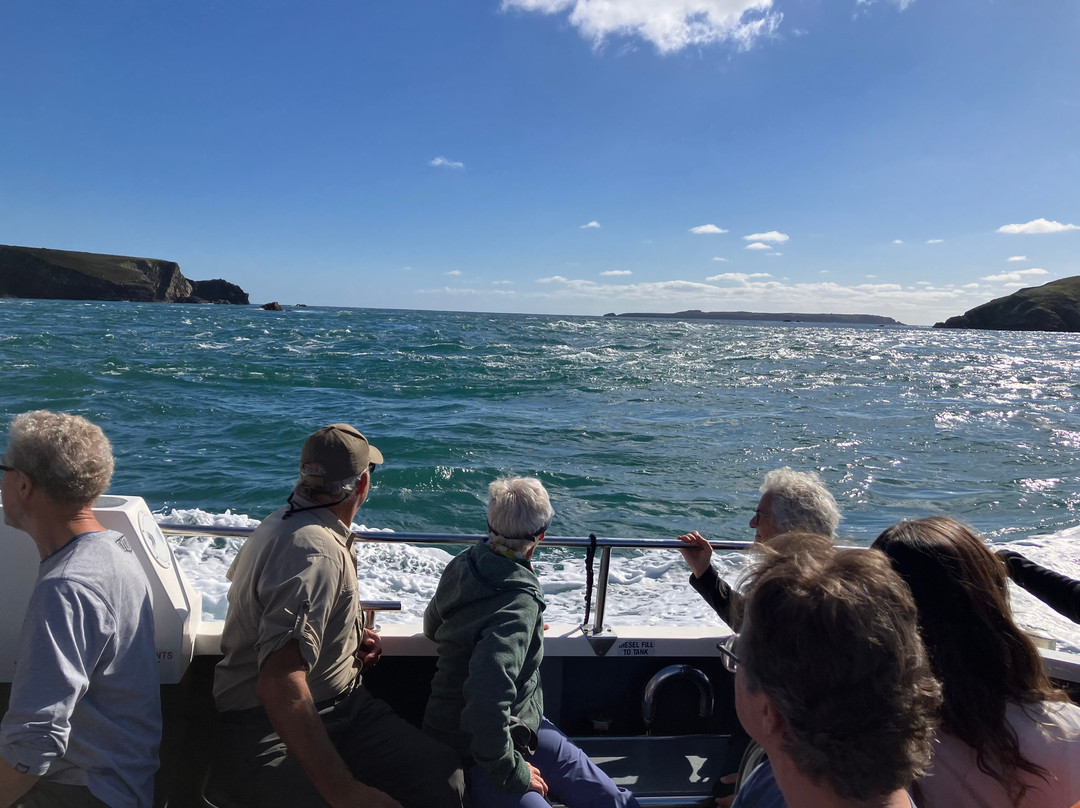 Pembrokeshire Islands Boat Trips-Marloes必去景点
