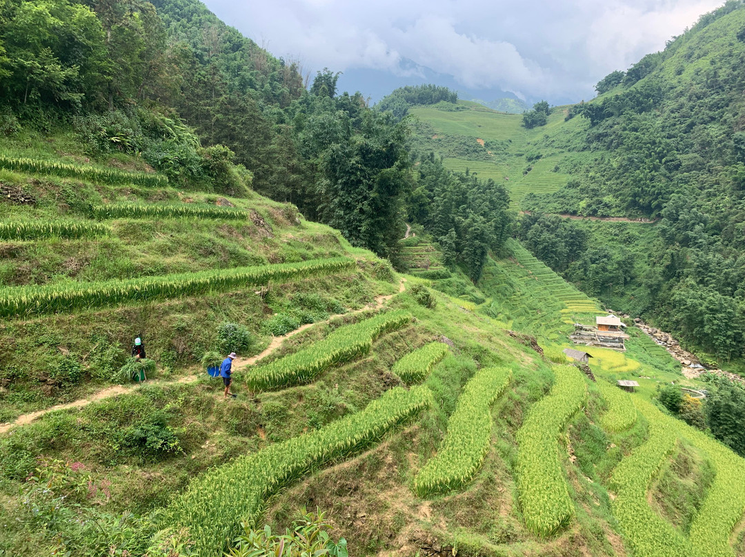 Sapa Big Tree Hmong Homestay主图