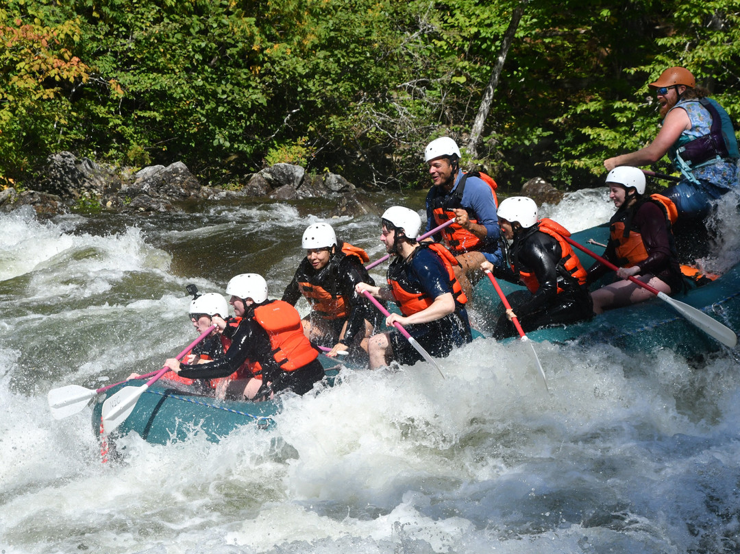 Three Rivers Whitewater Rafting-The Forks必去景点