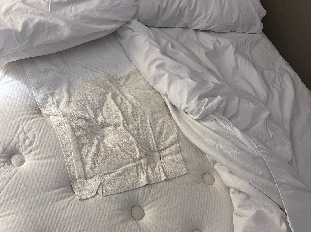 Holiday Inn & Suites 的林地主图