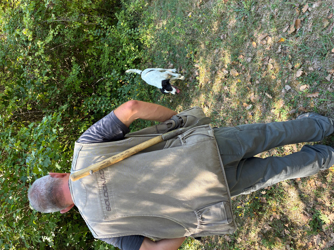 Truffle in Tuscany-圣米尼亚托必去景点