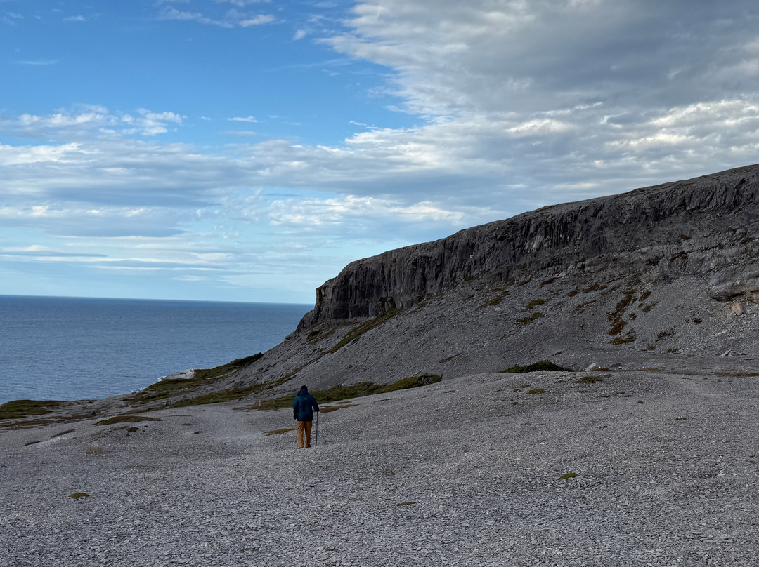 Burnt Cape Ecological Reserve-Raleigh必去景点