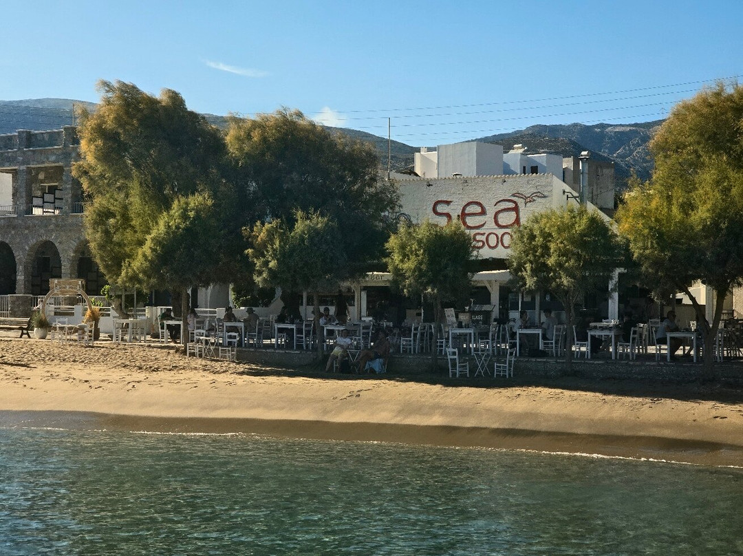Sea You Soon