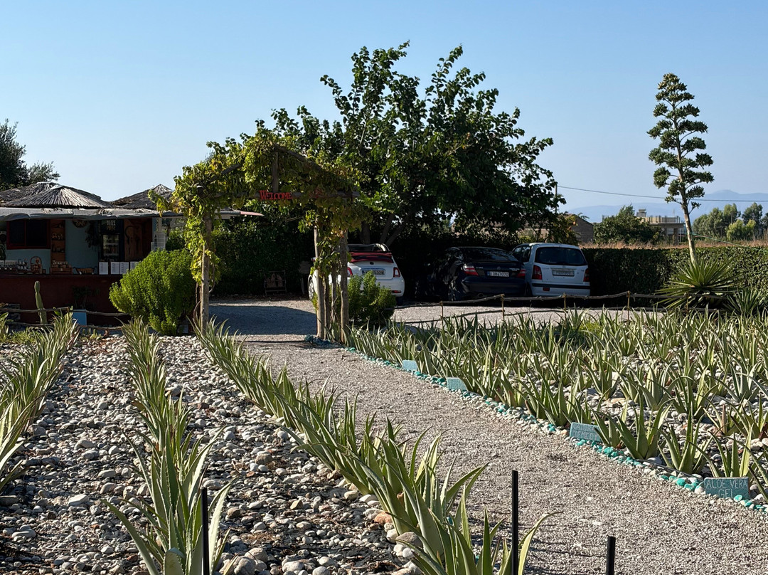 Aloe Vera & Herbal Health Farm-Fanes必去景点