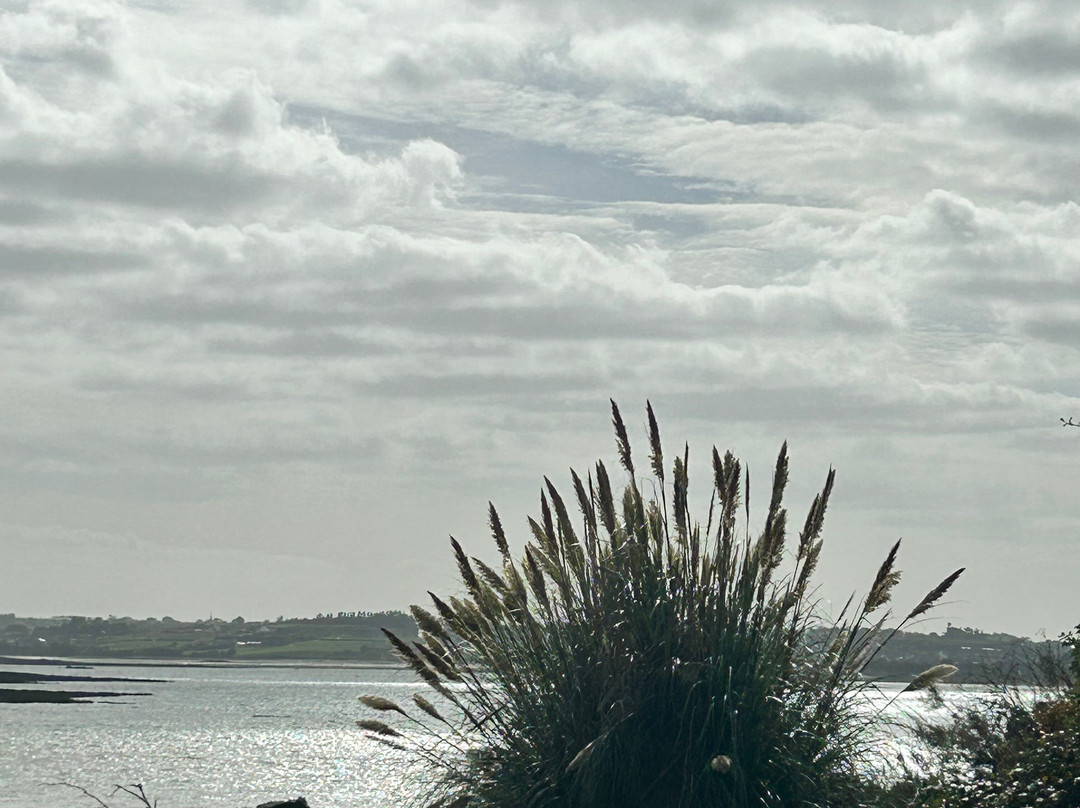 Île Callot-Carantec必去景点