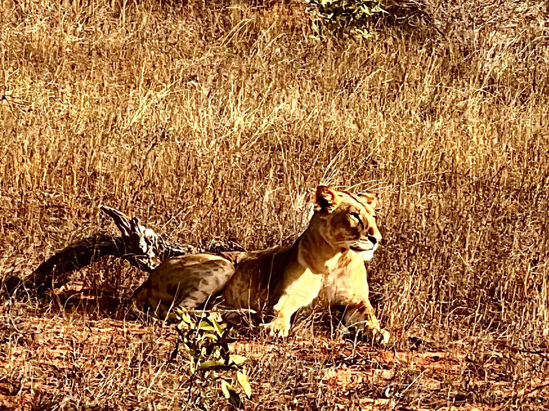 Watamu Diego Safari Day Tours-瓦塔木必去景点