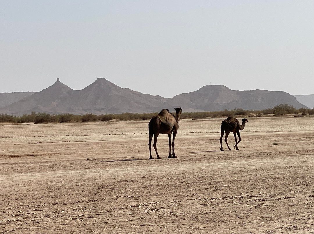 Marocco Tours-马拉喀什必去景点