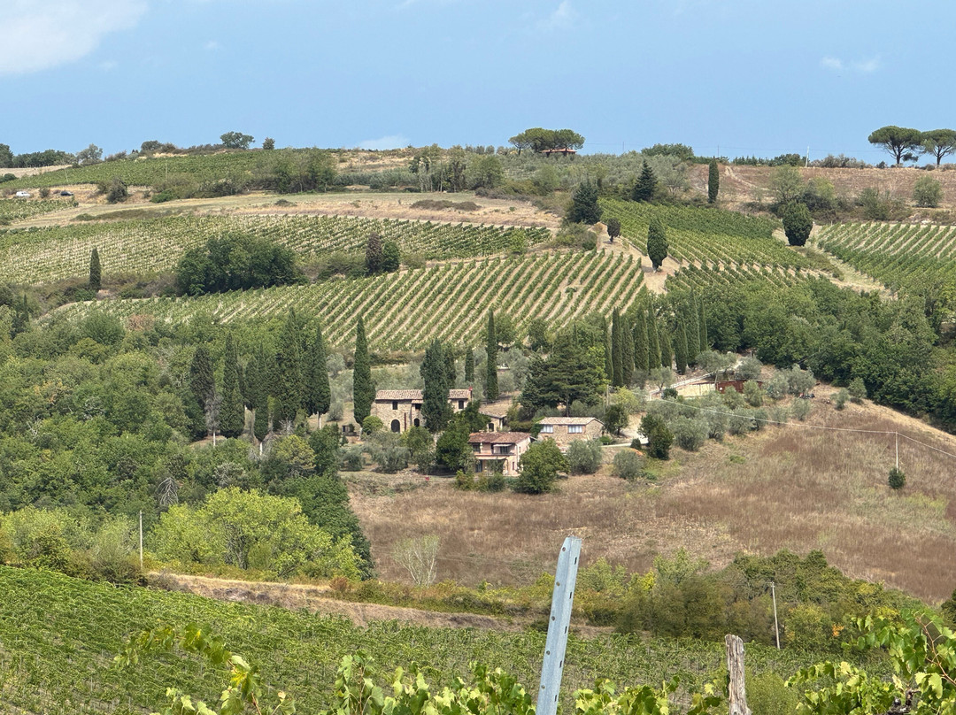 Italy Unfiltered-锡耶纳必去景点