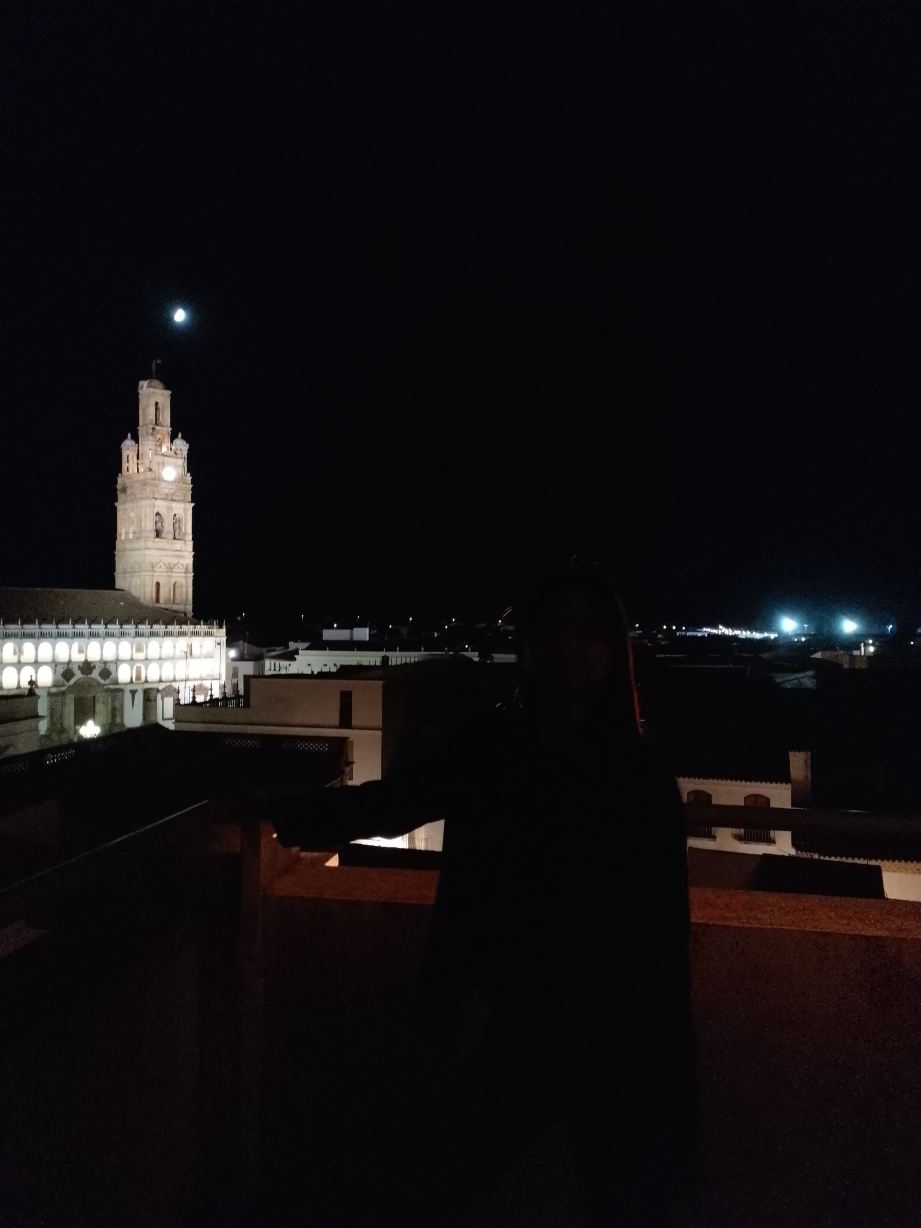 Hotel  Mirador de 列雷纳= 米拉多尔德耶雷纳四星级酒店-旅行者