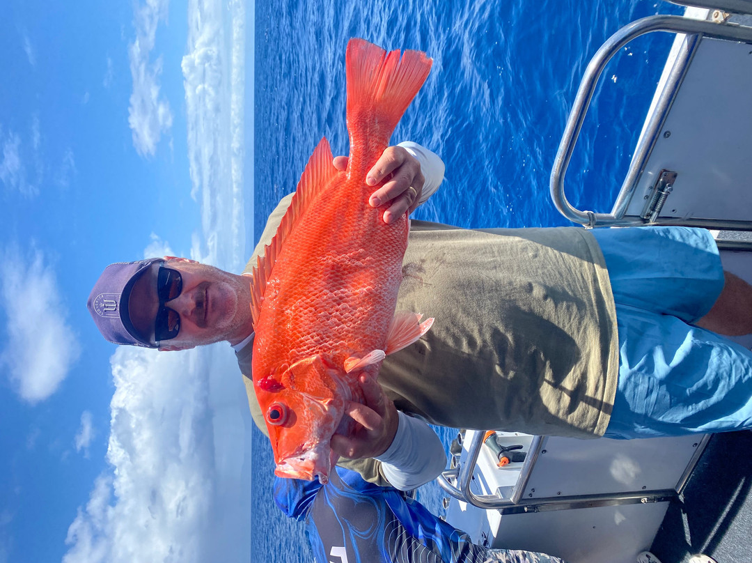 Cairns Reef Fishing-凯恩斯必去景点