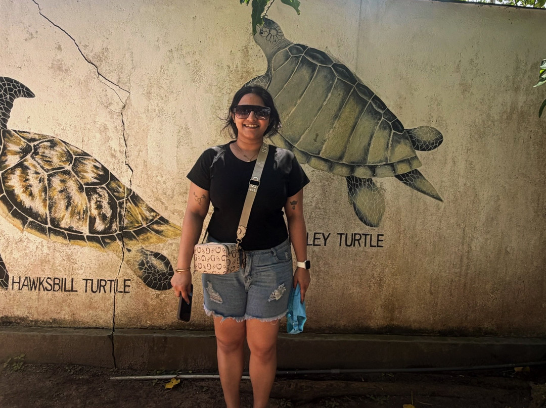 Kosgoda Sea Turtle Conservation Project-科斯戈德必去景点