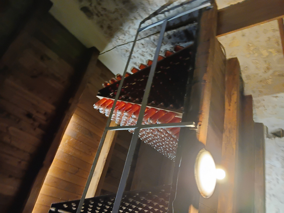 Le Macchie Winery-列蒂必去景点