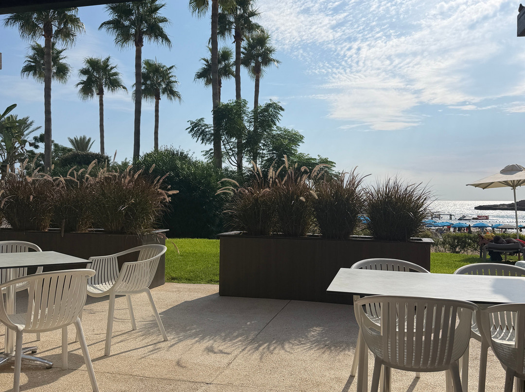 Chrysomare Beach Hotel and Resort主图