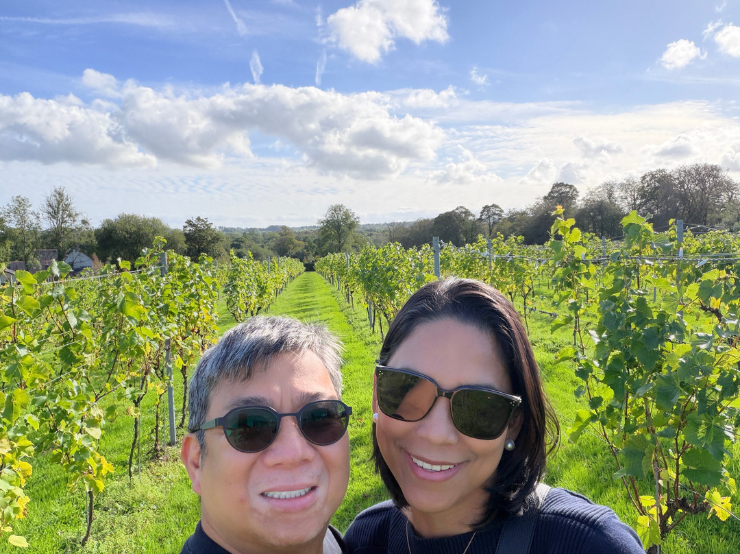 The Tasting Lodge @ Llanerch Vineyard-Hensol必去景点