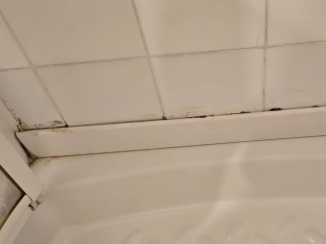 Hotel Elizondo主图