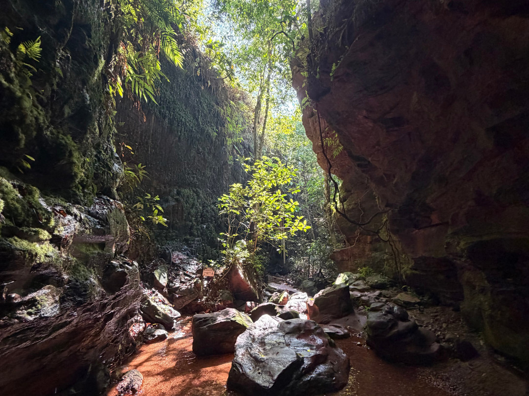 Buriti Adventure-Ponte Alta do Tocantins必去景点