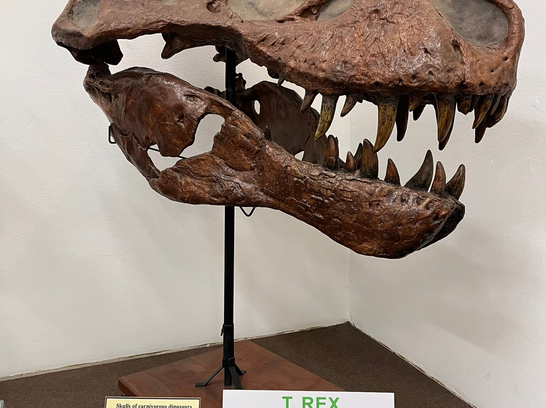 Museu De História Natural de Taubaté-陶巴特必去景点