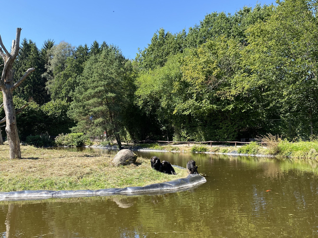 Serengeti-park Hodenhagen-Hodenhagen必去景点