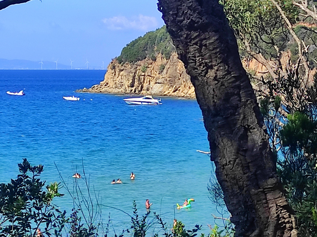 Cala Violina Scarlino-斯卡尔利诺必去景点