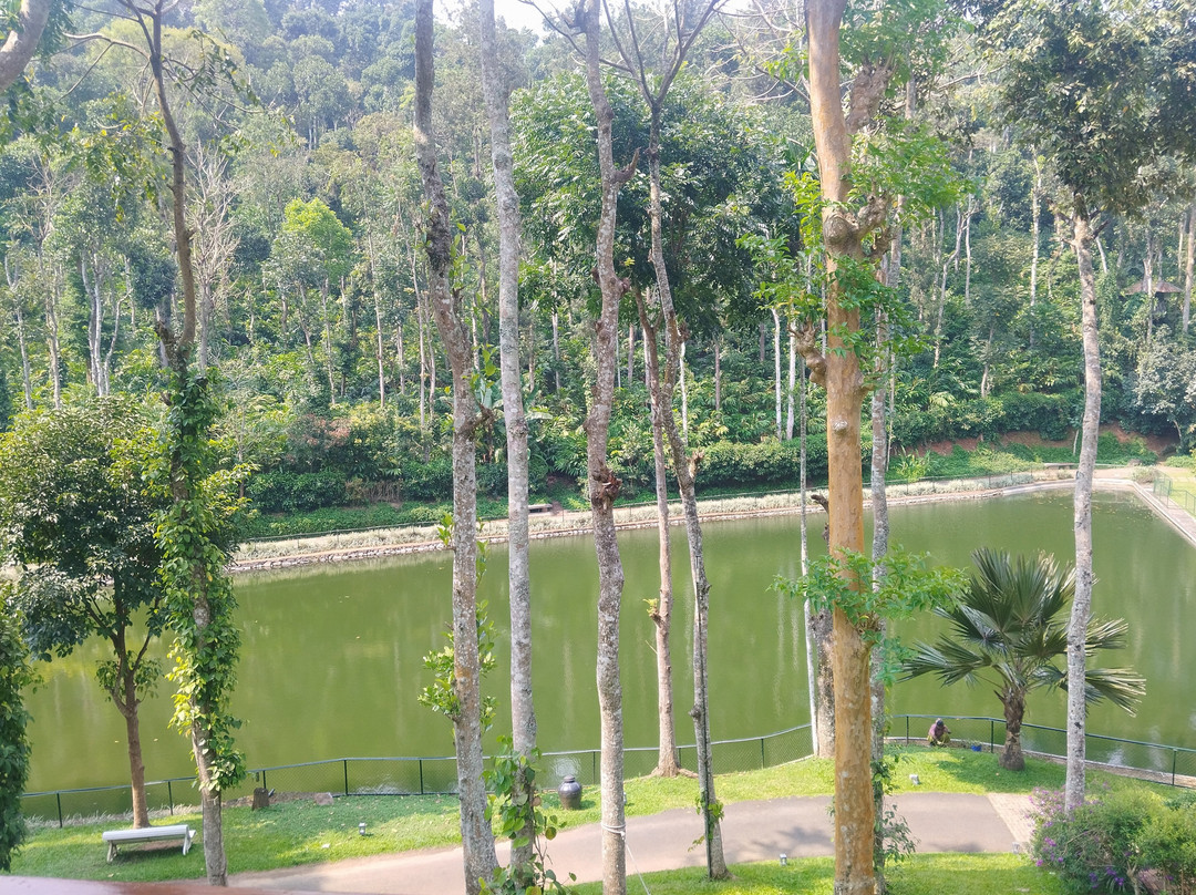 Amaana Plantation Resort主图