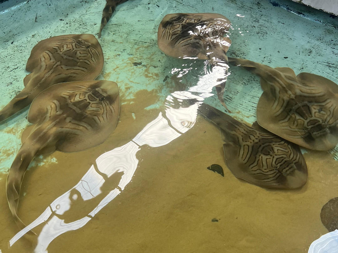 Port Stephens Animal Adventures-Bobs Farm必去景点