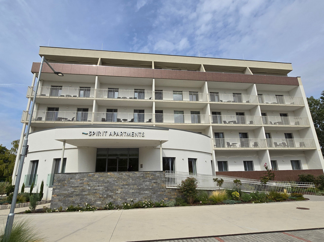 Hotel Thermal Varga主图