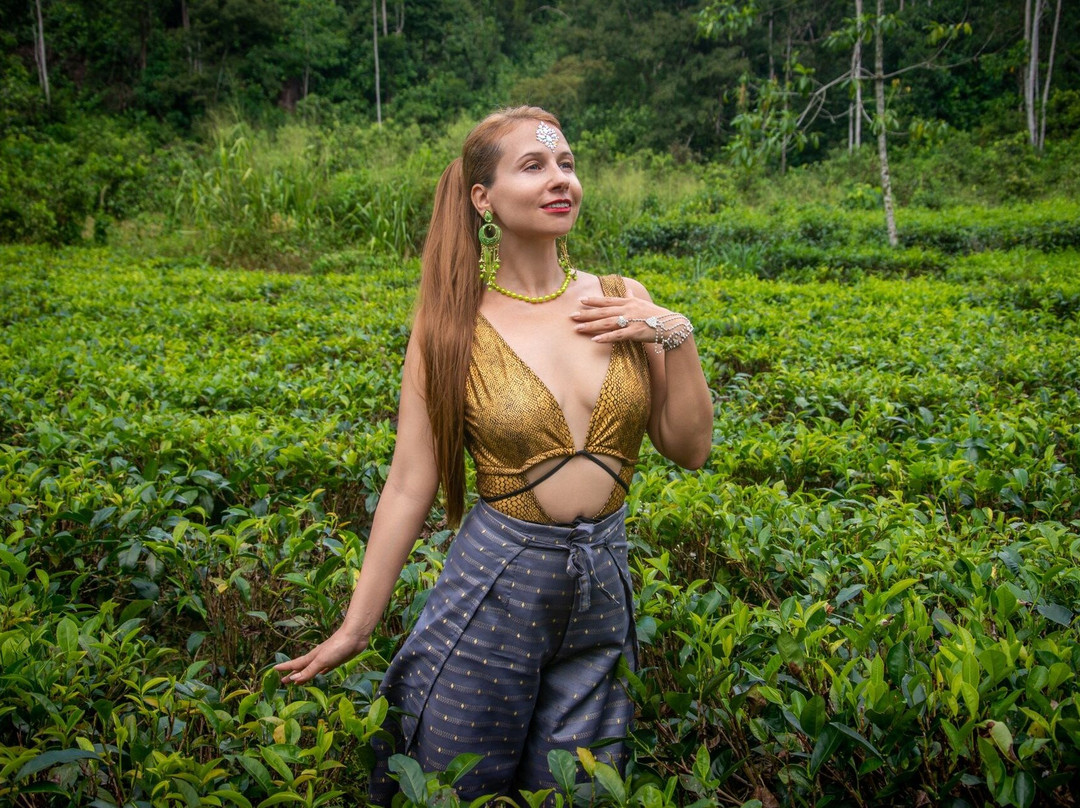 Seren Lanka Travels-卡图纳耶克必去景点