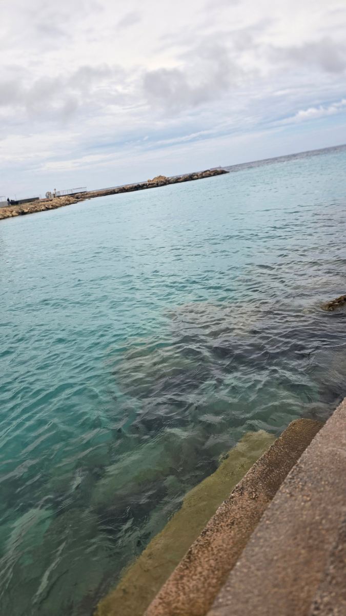 狮子海滩度假村-旅行者