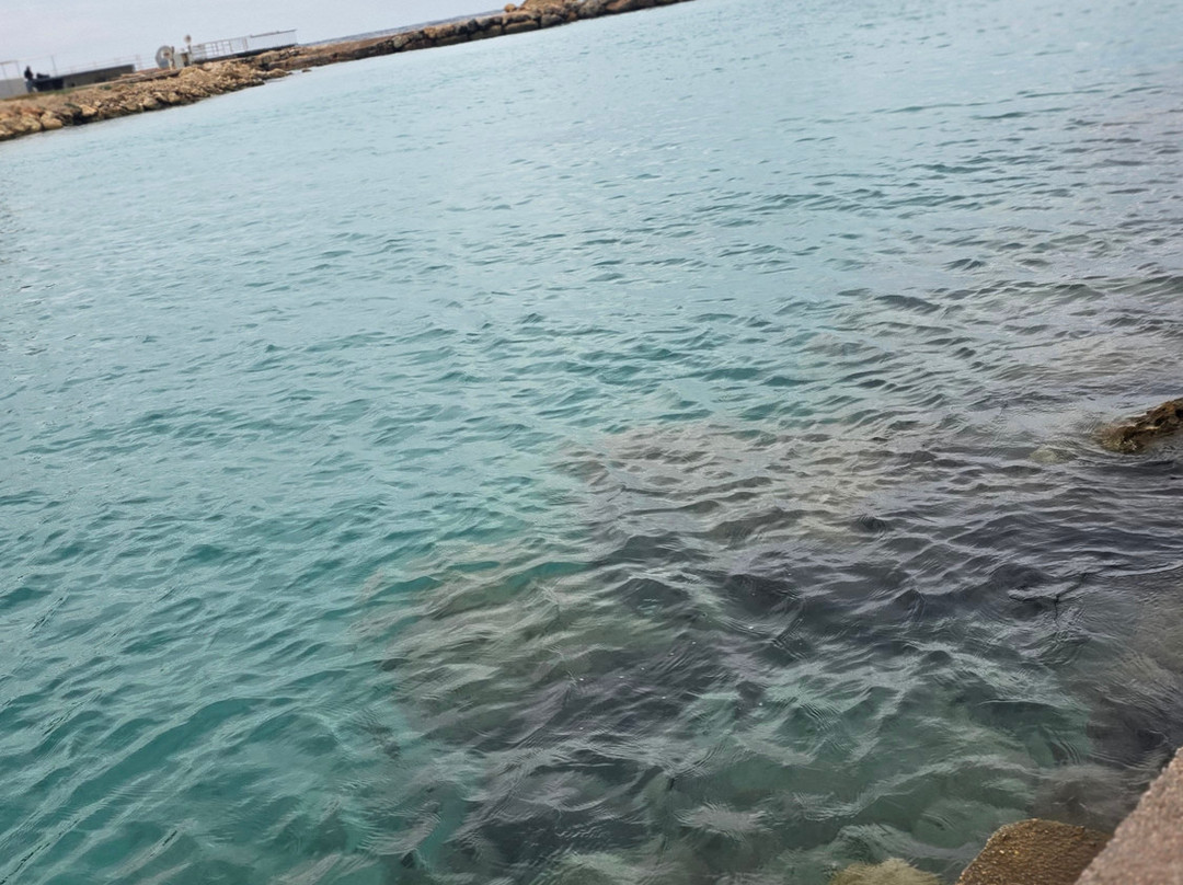 狮子海滩度假村主图