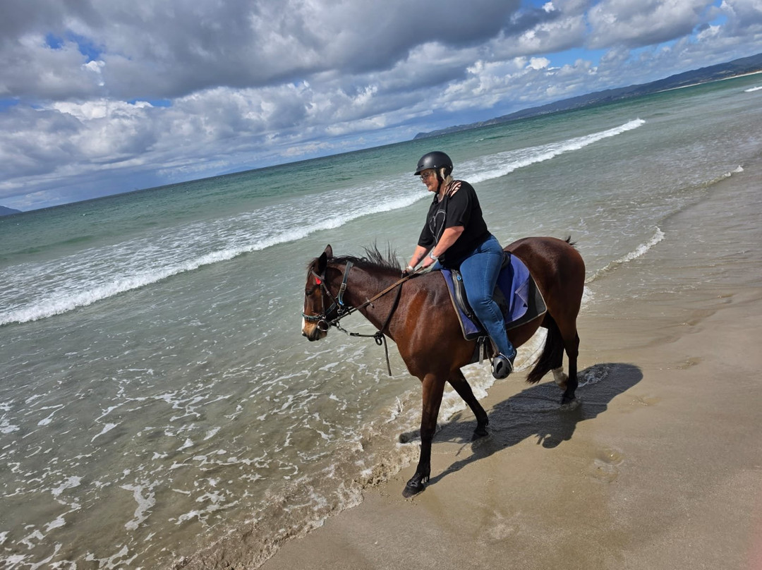Waipu Horse Adventures-璜加雷必去景点