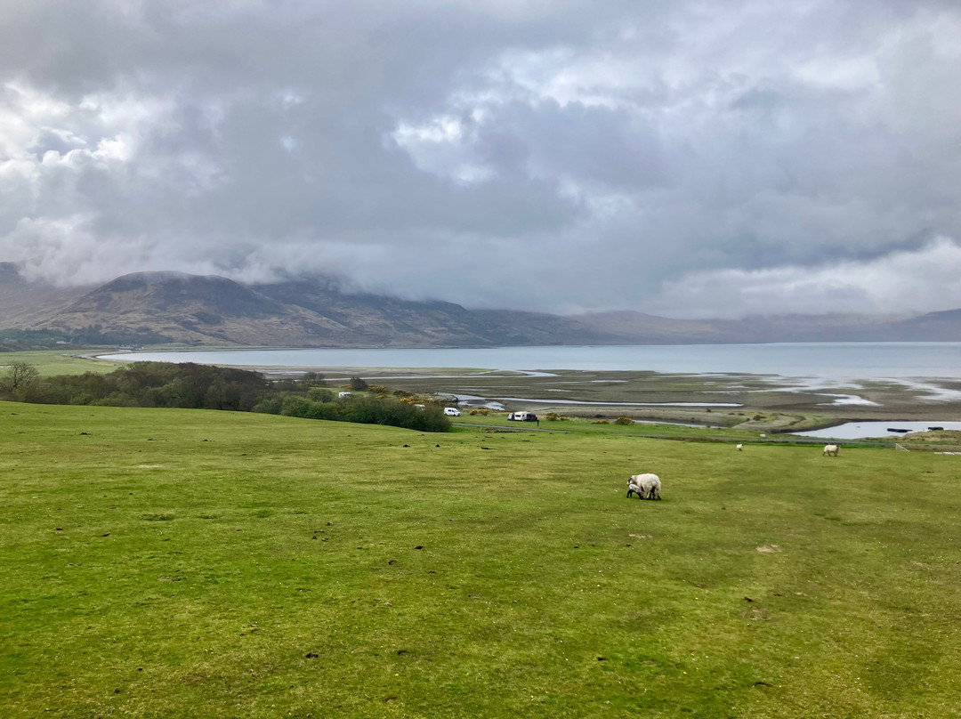 Mull Pony Trekking-马尔岛必去景点
