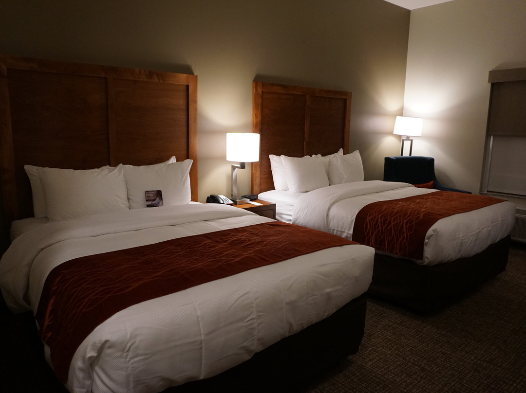 Comfort Inn White House主图