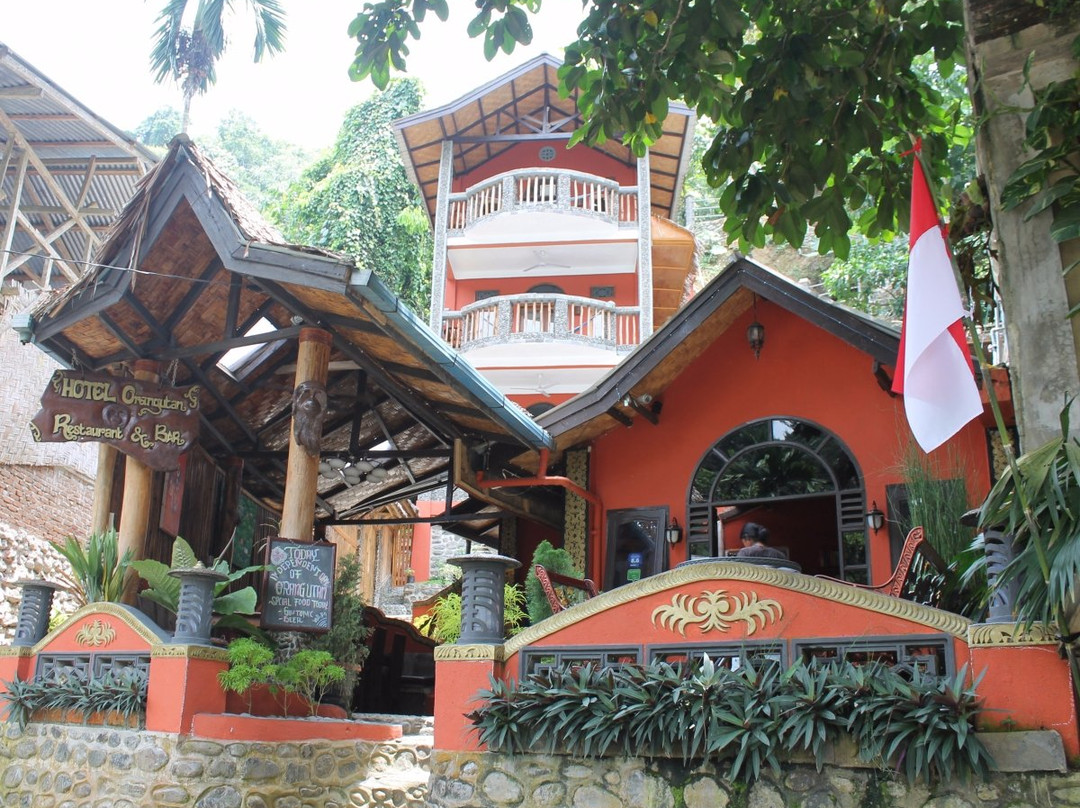 武吉拉旺酒店住宿-Hotel Orangutan