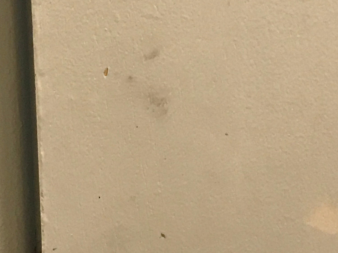 泰格德酒店住宿-Comfort Inn & Suites Tigard Near Washington Square